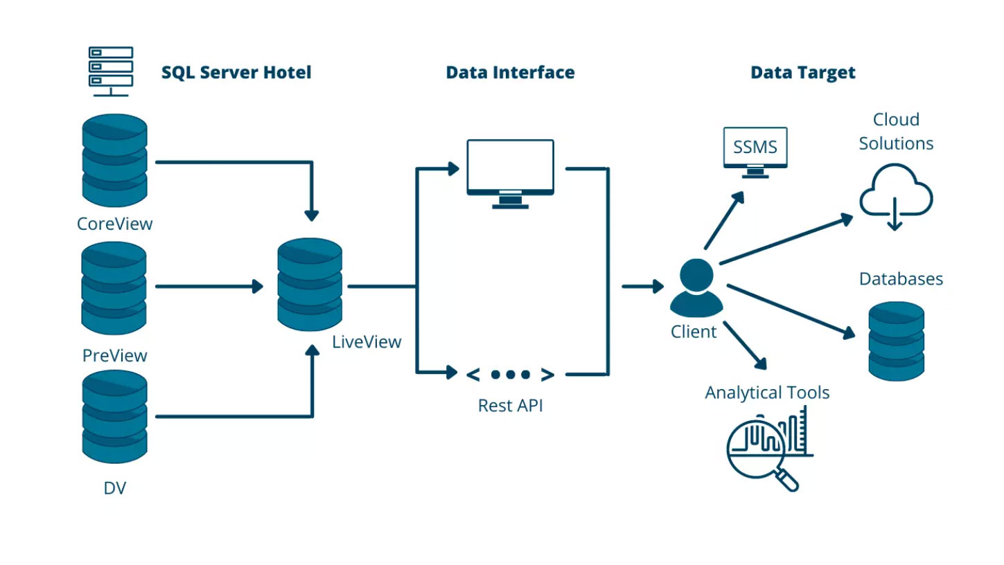 LiveView: analytics and reporting